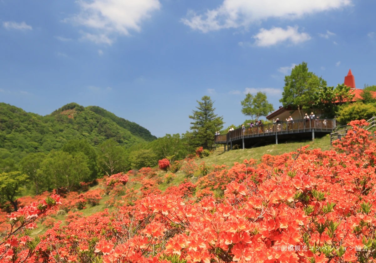赤城白樺牧場の写真1