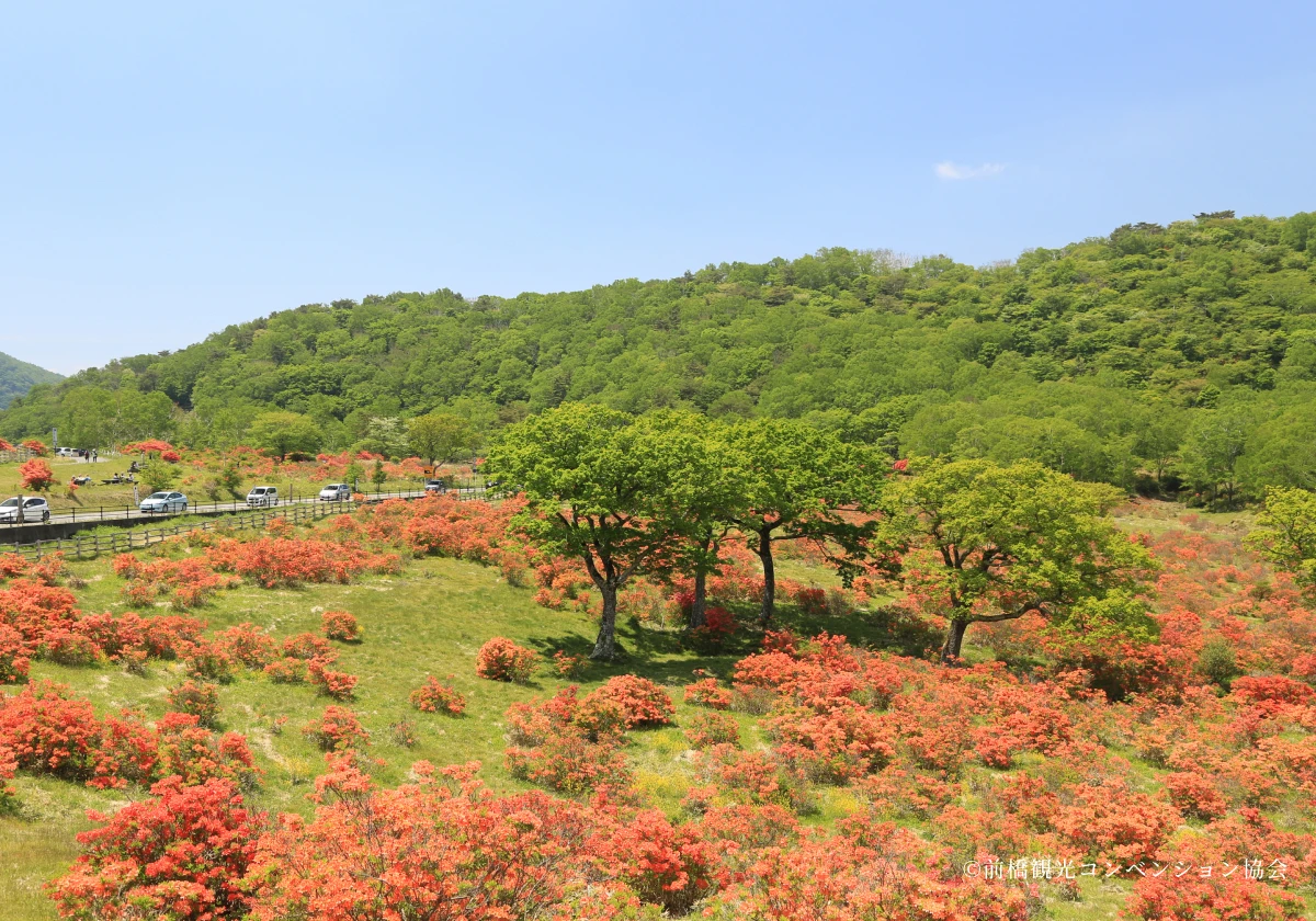 赤城白樺牧場の写真2