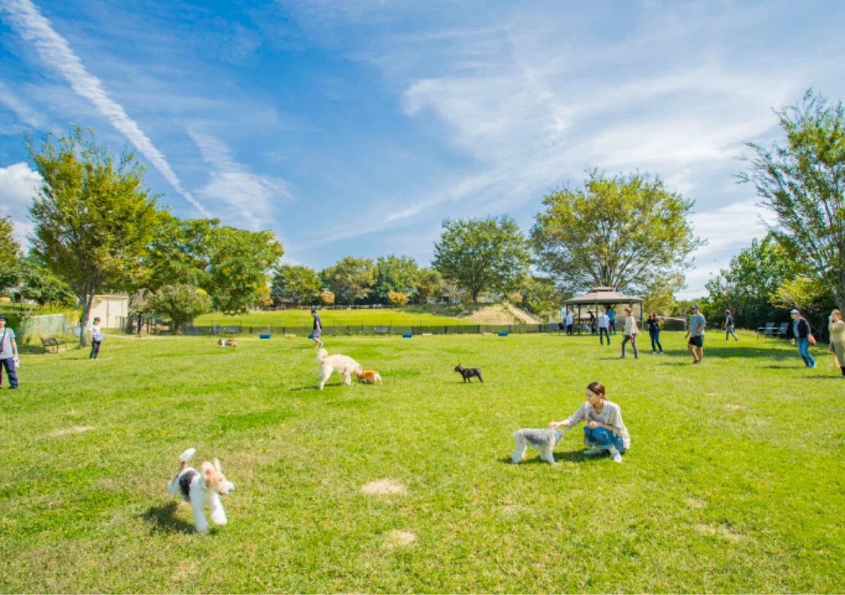 世界の名犬牧場
