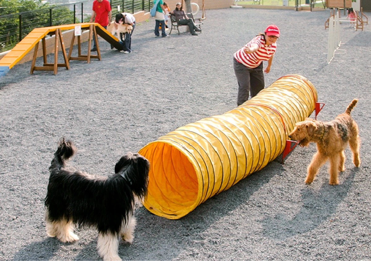 世界の名犬牧場