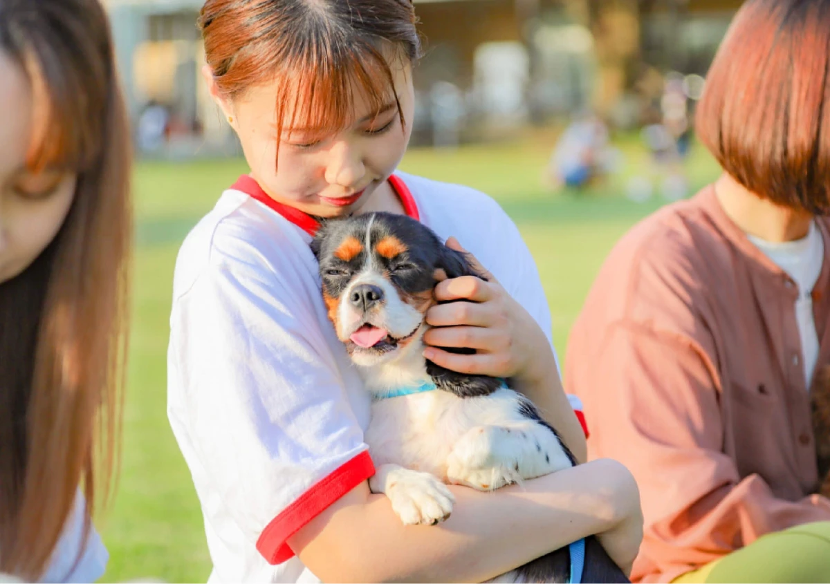 世界の名犬牧場