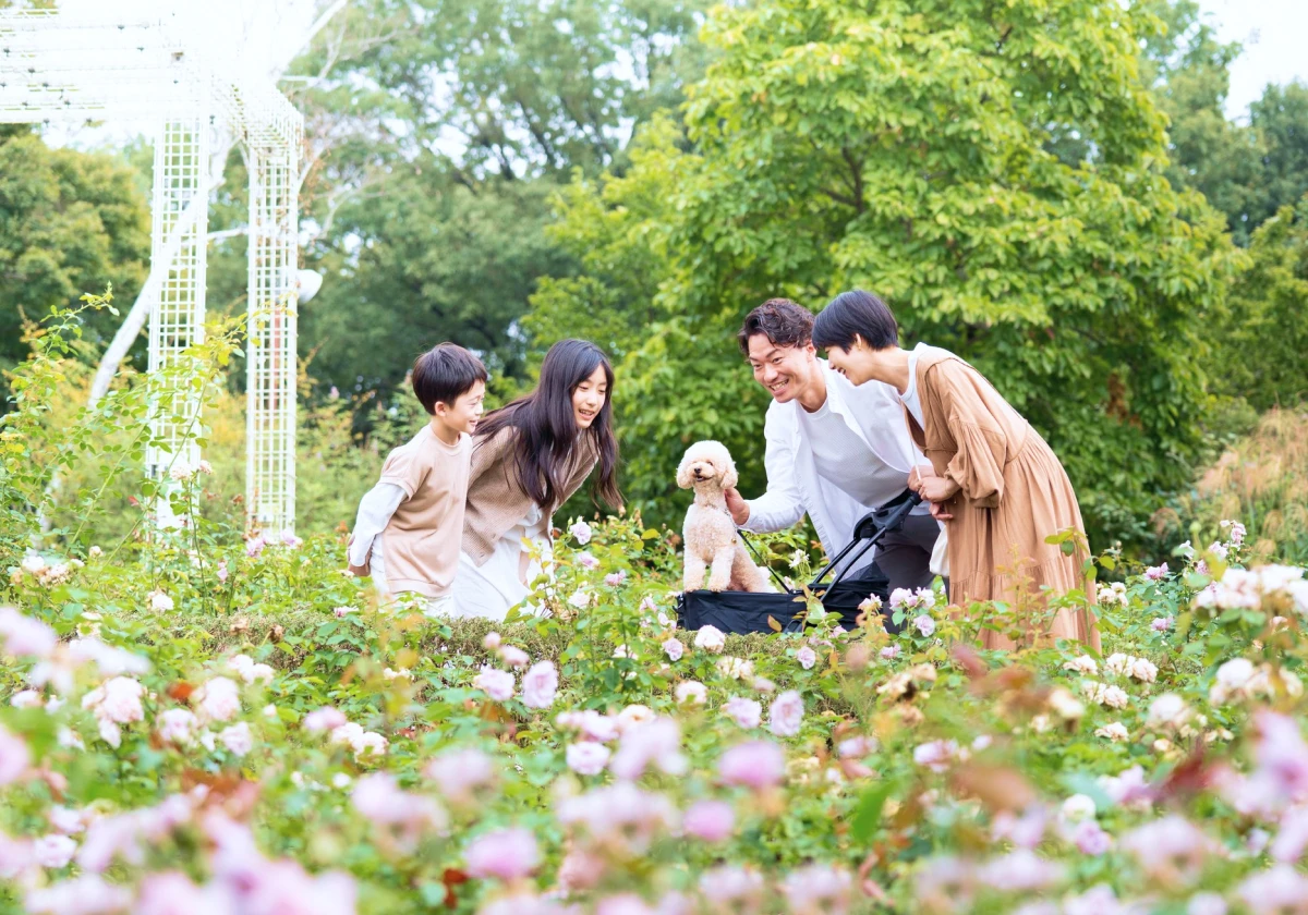 Gunma Flower Park +の写真4
