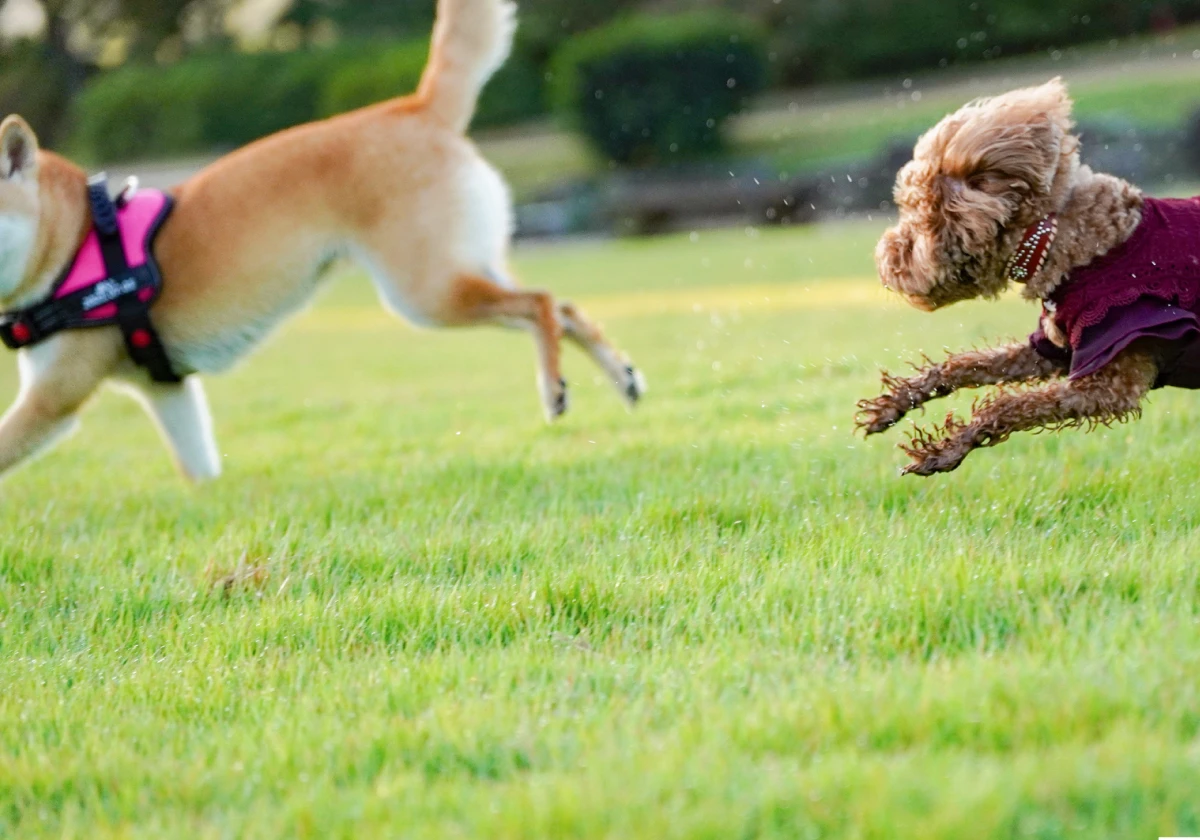 道の駅まえばし 赤城の写真2