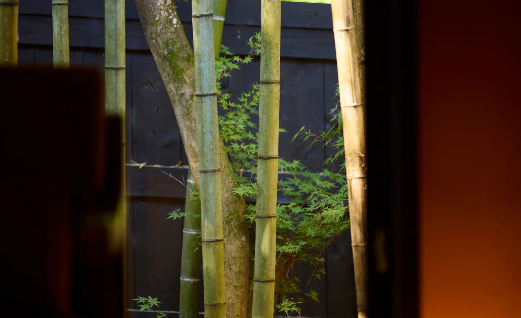 コンフォート和室の写真5