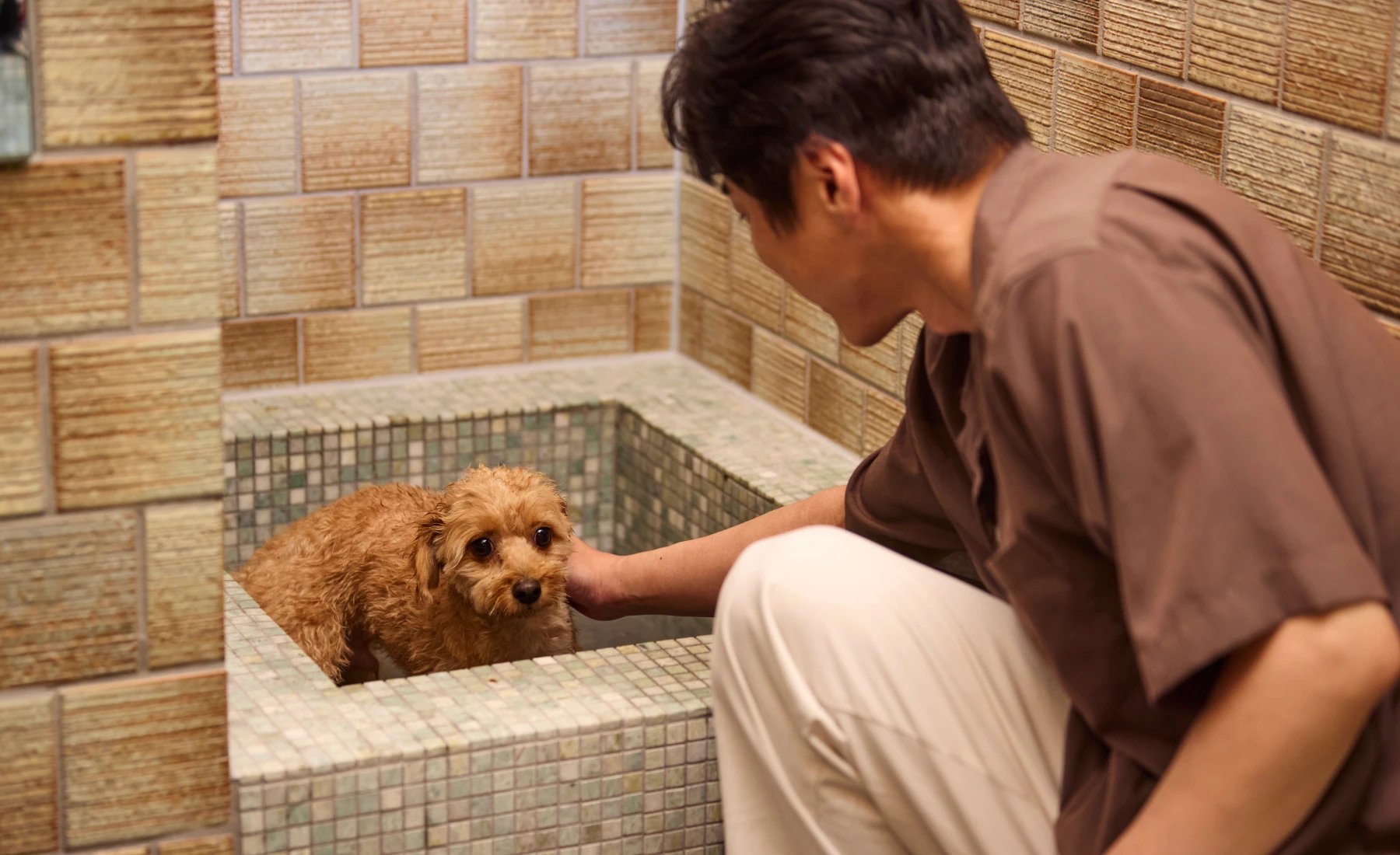 離れ特別和室の写真5