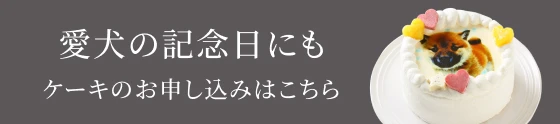 愛犬の記念日にも ケーキのお申し込みはこちら
