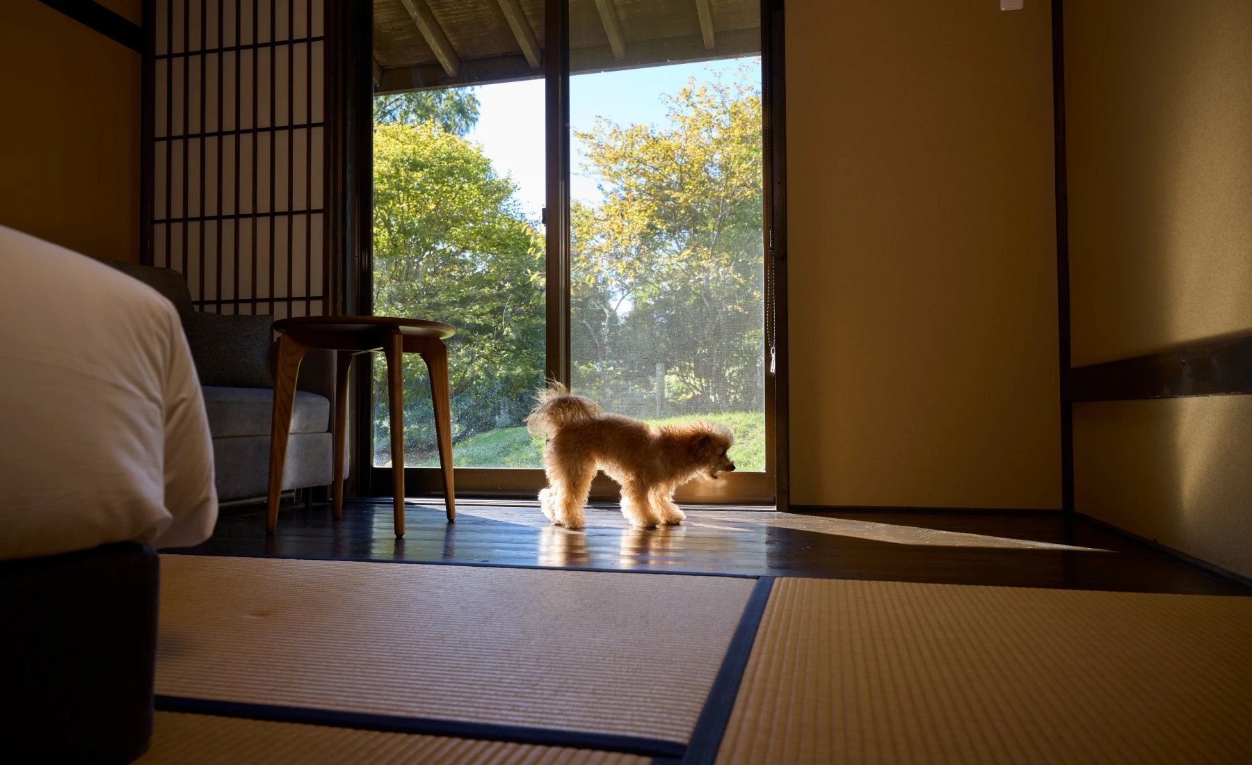 スーペリア和室の写真7