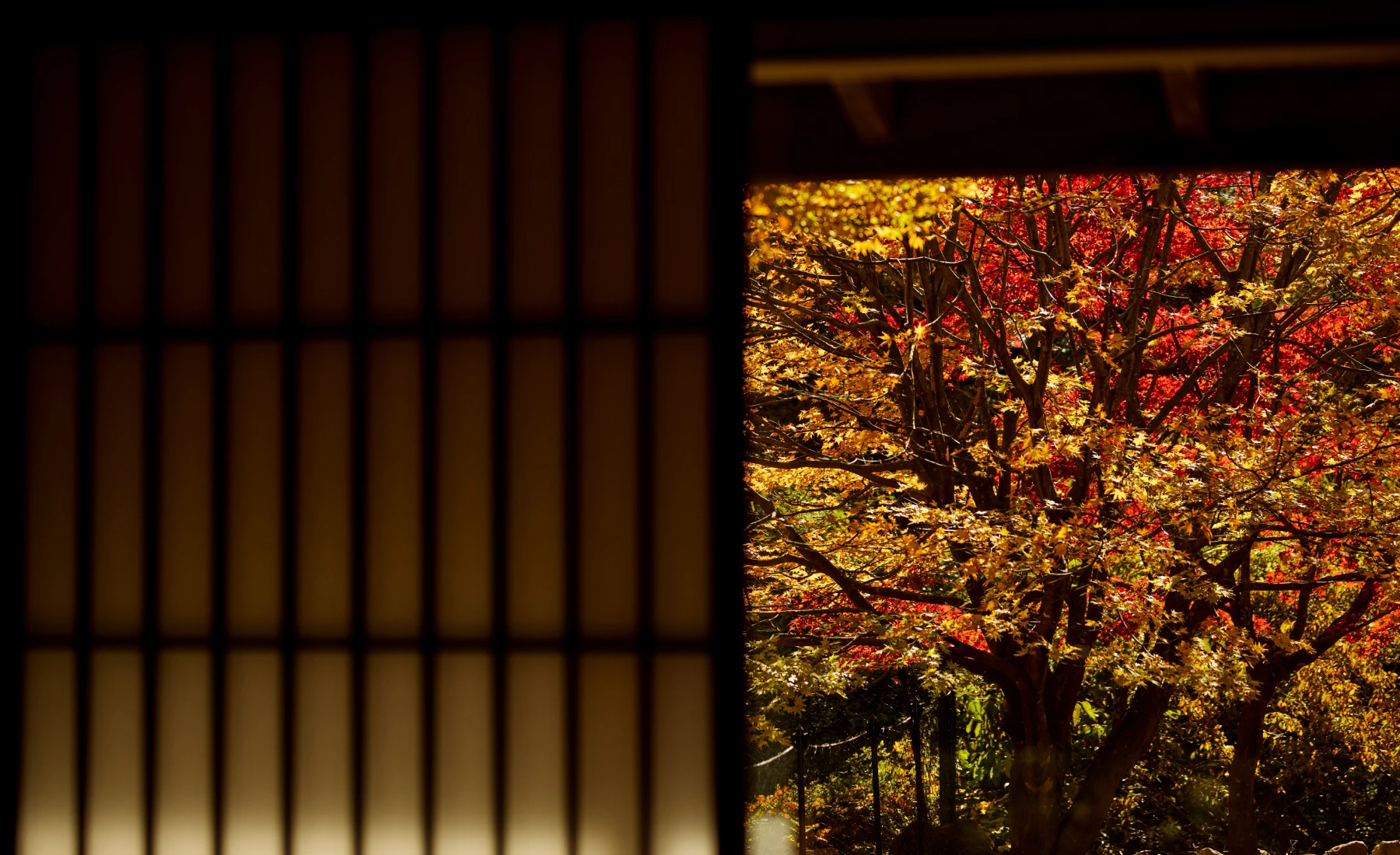 スーペリア和室の写真8