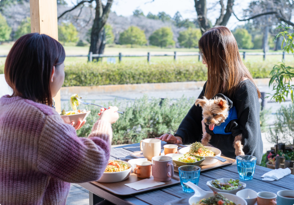 4D studio meili cafe（メイリーカフェ）の写真2