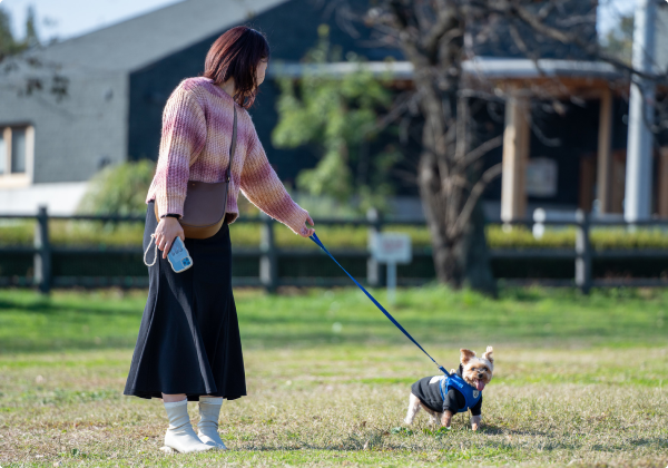 4D studio meili cafe（メイリーカフェ）の写真3